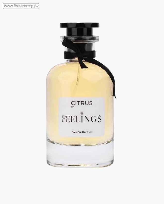 Citrus Perfume for Men 100ml thumb